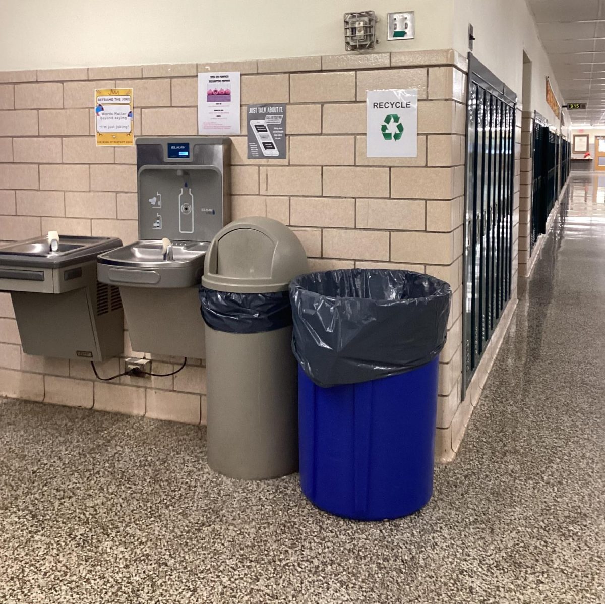 Here are the garbage cans at EIS where students throw their garbage. There is not a large littering problem at the school. 