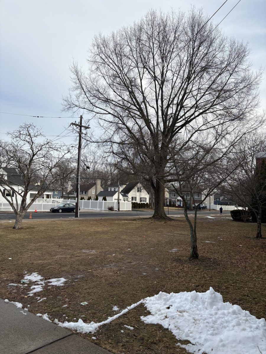 Here is the front of EIS in the winter when the leaves are gone and it's dreary outside. 