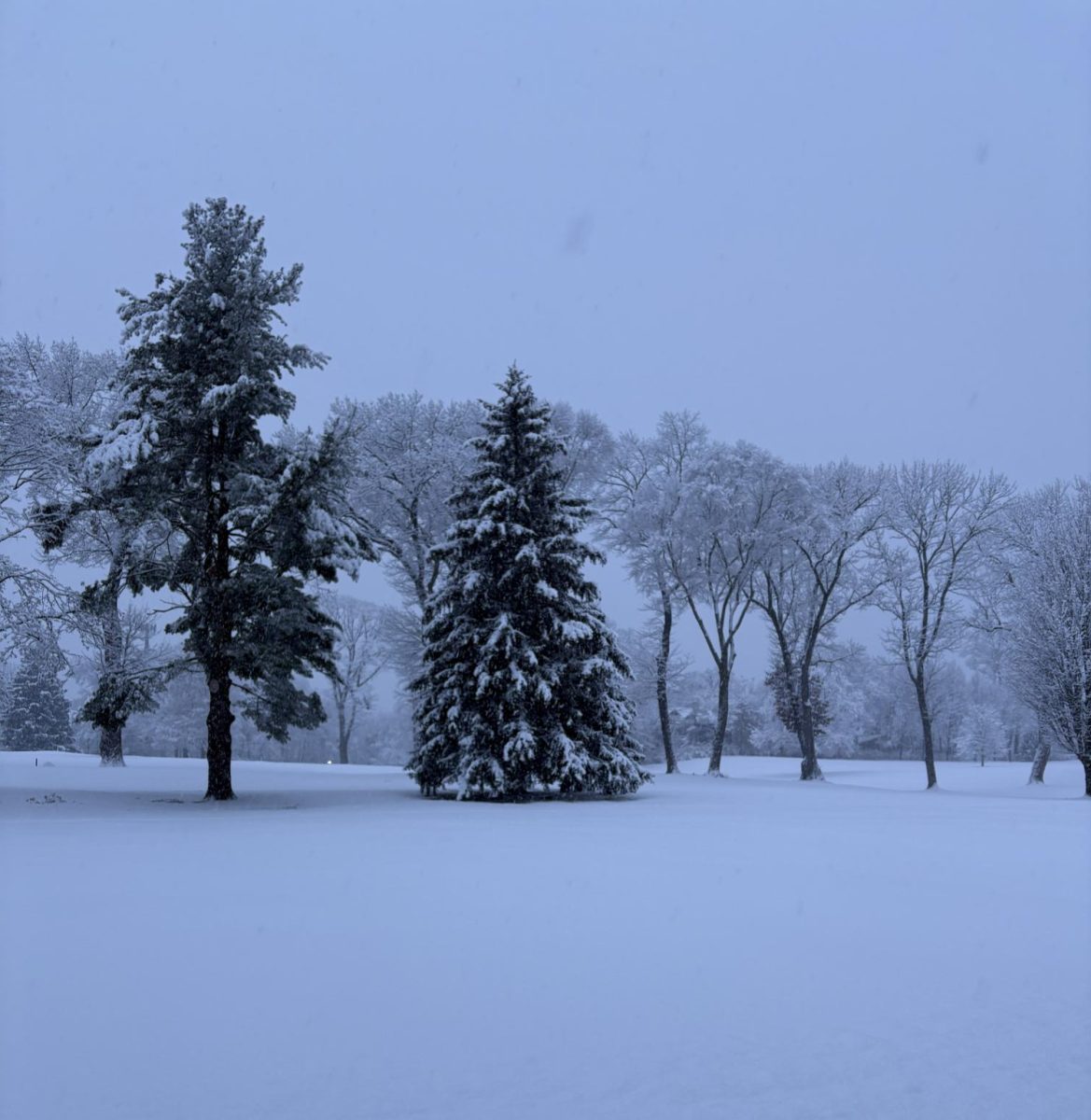 Here is the view after a snow storm that dropped 5 inches of snow on ELA teacher Mrs. Erin Meade's property on January 18. Don't you think a winter dance would celebrate the beauty of the winter season?